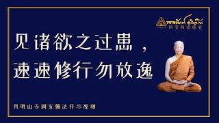 见诸欲之过患，速速修行勿放逸 | 阿姜阿南开示. 翻译中文版