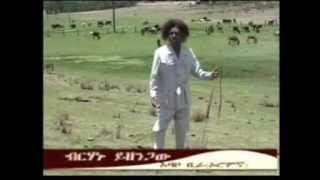 (Oromo Music) Birhanu Yizengaw - Ababo Birraa