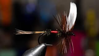 Royal Coachman Dry Fly