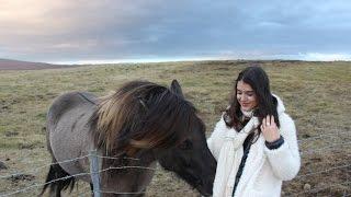 Exploring Iceland! Day one and two | Thatja Andrade