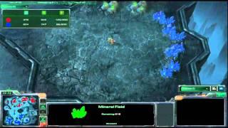 Loner(T) vs NEXGenius(P) - Ro2P2 - Blizzcon 2010 Grand Finals