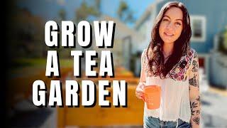 Planting an Herbal Tea Garden | Growing My Own Herbal Teas