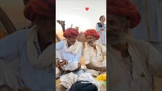 राजस्थान ️ #rajasthan #village #life #desi #desert #love #india #travel #viralshorts #shorts