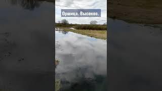 Оршица , в районе п.Высокое.