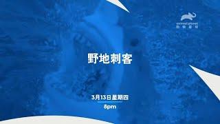 动物星球频道台湾台(Animal Planet Taiwan)《野地刺客 全新系列》宣传片