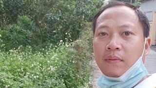 Làm Thế Nào Mua Bds Phúc Thọ Lời Từ Khi Mua