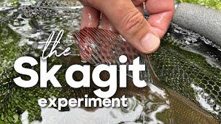 SKAGIT Improvisation am kleinen Bach #skagit #fliegenfischen #flyfishing