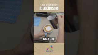 힐링이 필요한 날! 햇빛 쏟아지는 한내 지혜의 숲