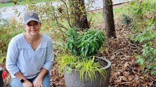 I'm Adding Classic Fragrant & Flowering Southern Shrubs to the Garden