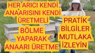 EN KOLAY VE EN VERİMLİ ANAARI ÜRETİMİ/ARIYI HIZLI GELİŞTİRME /1.BÖLÜM#arı#arıcılık#bee#yalvaç