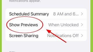 iPhone | Notification Show Previews Settings 14 Pro