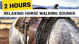 Relaxing Horses Hooves Sounds (2 Hours)  clip clop walk & nature (no neighing) for sleep relaxation