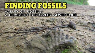 Finding Fossils - Valley of fossils : A Roadside discovery adventure