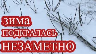 УКРЫВАТЬ или НЕ УКРЫВАТЬ, вот в чём вопрос.