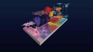 Cell Type Taxonomies A to Z: What is your cell type - MapMyCells