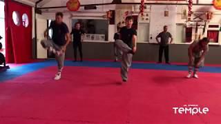 Kung Fu Basics Training - UK Shaolin Temple