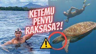 TIMBOI BERENANG DI LAUT BUNAKEN! KETEMU PENYU RAKSASA, GEDE BANGET