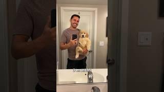 Puppy transforms into a two-year old in 20 seconds!