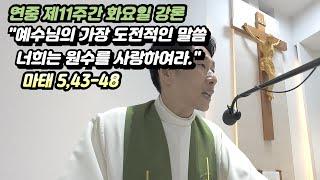 [매일미사 강론]연중 제11주간 화요일 강론(마태 5,43-48) "예수님의 가장 도전적인 말씀 - 너희는 원수를 사랑하여라."
