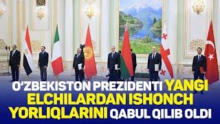 O‘zbekiston Prezidenti yangi elchilardan ishonch yorliqlarini qabul qilib oldi