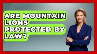 Are Mountain Lions Protected By Law? - Exploring Campgrounds