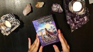 Oracle Deck Review: Sacred Traveler by Denise Linn