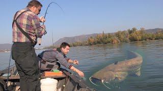 Pecanje soma i smuđa na Dunavu - Đerdap kod Kladova - Varaličarenje | Fishing catfish and zander