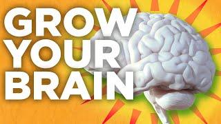 Grow your brain: Challenges Only The Brightest Can Overcome