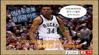 [농구][하이라이트] 2018/2019 NBA 정규시즌 MVP 야니스 아데토쿤보의 하이라이트!!