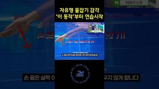 자유형 물잡기 감각 ‘이동작’부터 연습시작 #수영배우기 #수영강습 #스컬링