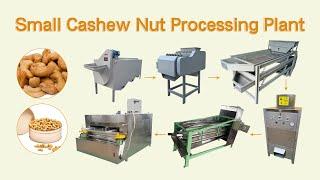 Best cashew nut processing plant 300kg/h | cashew shelling/separating/peeling/roasting machines