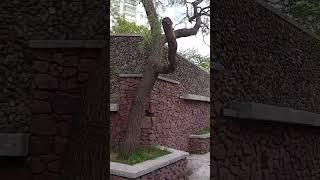 Что было до игры Марио?  Суровое детство в СССР.