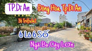 Bán 6 Lô Đất Đông Hòa Dĩ An (1931) Ngã Ba Cây Lơn, Làng Đại Học, Chợ Đông Hòa 300m