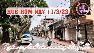 Phố Huế hôm nay 11/3/2023 - Ngắm cây cổ thụ 100 năm linh thiên bên sông Đông Ba | VIỆT NAM NGÀY NAY