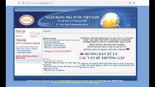 Khai báo khoản vay, trả nợ nước ngoài/ How to declare foreign loan, debt payment