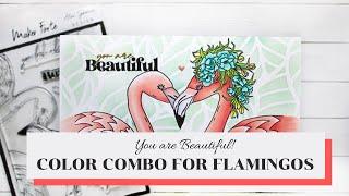 Copic Coloring Flamingos | You are Beautiful