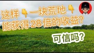 在澳洲投资农业用地 赚20倍收益 可信吗？