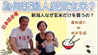 【日本控必看】為何日本人愛買玄米？｜移居日本港人の日常生活｜新潟人なぜ玄米だけを買うの？｜新潟コシヒカリお米（越光米）