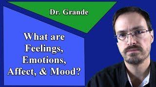 What are Emotions, Feelings, Affect, and Mood?