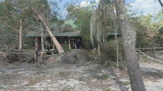 Georgia man has over 40 fallen trees on his property thanks to Helene