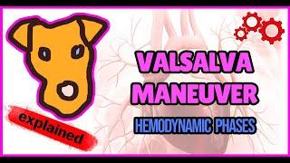 Physiology: Hemodynamics of a Valsalva maneuver