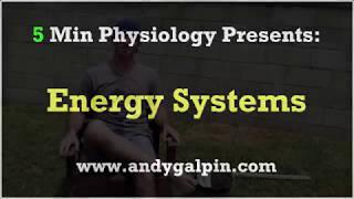 Energy Systems - How The Body Uses Fat, Carbs, & Protein For Fuel: 5 Min Phys