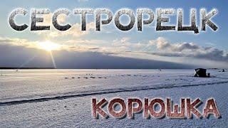 КОРЮШКА СЕСТРОРЕЦК краткий отчет