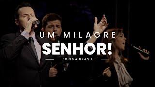 Prisma Brasil - Um Milagre, Senhor!