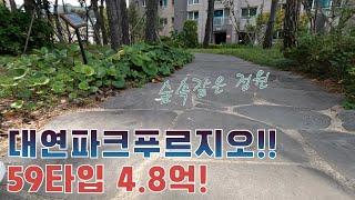 금액조정 _ 4.4억!!  남구 대연동 대연파크푸르지오(신혼부부 추천)