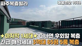 [파주복층빌라] 마지막 1세대 긴급 해약세대! 떠나면 후회할 3억대 65평 5룸 복층 파주신축빌라 [파주빌라][파주빌라복층][신축빌라복층][복층빌라매매][파주테라스빌라]