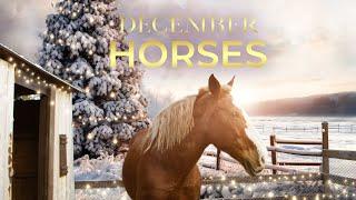 December Horses (2024) Full Movie | Christmas Family Drama