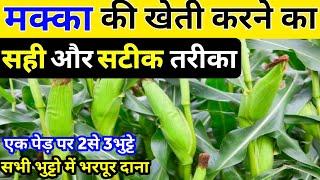 मक्का की खेती कब और कैसे करे | Makka ke kheti ki jankari | Makka ki kheti | Maize cultivation