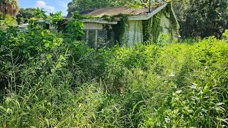 Abandoned for 23 Years and Covered in Vines  OVERGROWN LAWN TRANSFORMATION