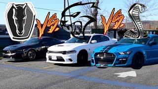 GT500 vs DARKHORSE vs HELLCAT DRAG RACE!